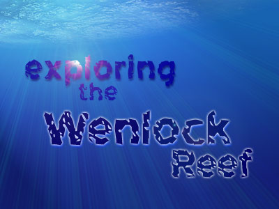 Exploring the Wenlock Reef