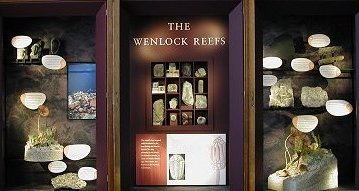 A section of the Wenlock display at the Sedgwick Museum